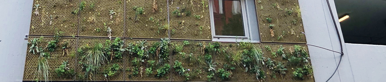 Närbild på växtväggen på P-huset Anna där man ser växter växa ut från den ihåliga fasaden